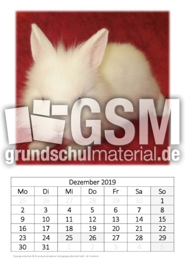 Dezember_Zwergkaninchen.pdf